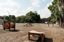 Photo #12
